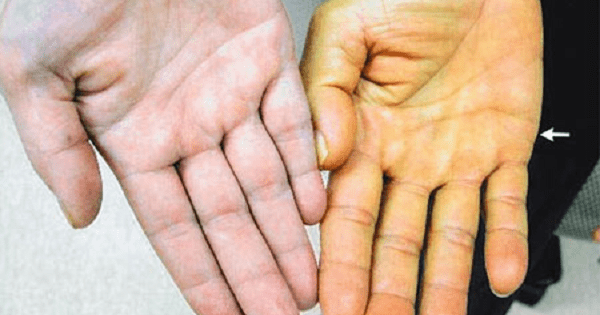 Avatar1768185956323 1768185956743181905338