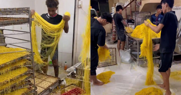 Avatar1768197003061 17681970037442112638915