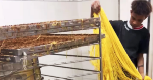 Avatar1768229701323 176822970181336537946 0 0 636 1216 Crop 1768229757235387910466