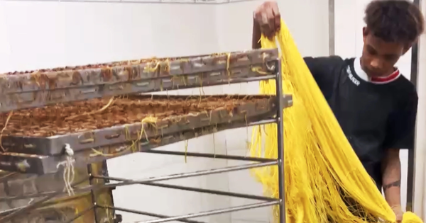 Avatar1768229701323 176822970181336537946 0 0 636 1216 Crop 1768229757235387910466