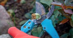 Avatar1768272358497 1768272358877262650353