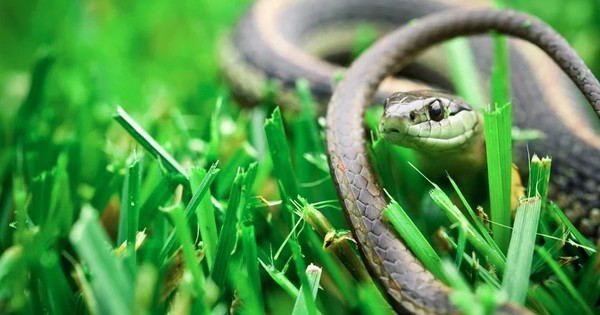 Avatar1768290106566 1768290107079595289643