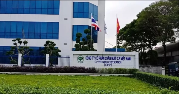 Avatar1768346305499 17683463059061685037757.Webp