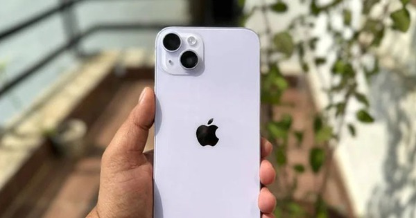 Avatar1768360437378 1768360437825730294826 0 0 387 740 Crop 17683604647021906590919