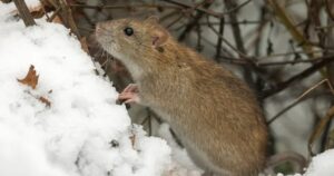 Avatar1768375549152 1768375549645868005925