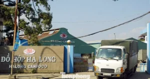 Avatar1768380007300 1768380009098961593206.Webp