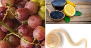 Avatar1768380375257 1768380375772146200547