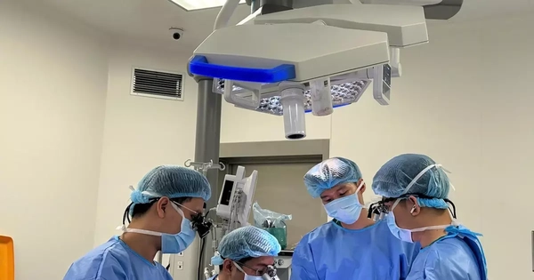 Avatar1768382577303 17683825776261372165340.Webp