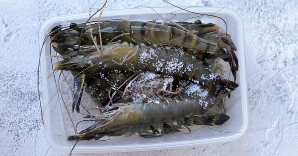 Avatar1768383434454 1768383434841226110019