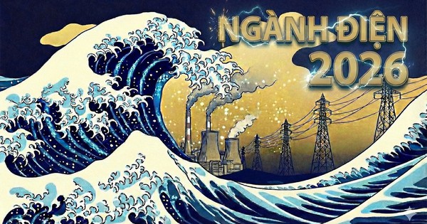 Avatar1768496089040 17684960900451226811728