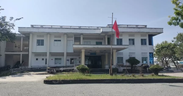 Avatar1768519794505 17685197952121840032504.Webp