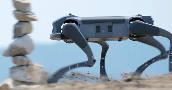 Avatar1768534727887 1768534728305598972369 0 0 628 1200 Crop 17685347585171225925745