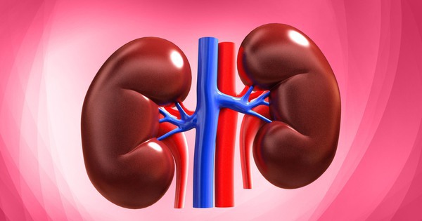 Avatar1768535505818 176853550629716510742