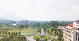 Avatar1768541673034 17685416734001500664874.Webp