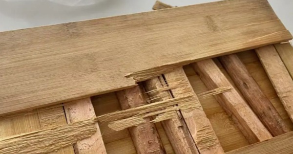 Avatar1768542228087 17685422283651168427205