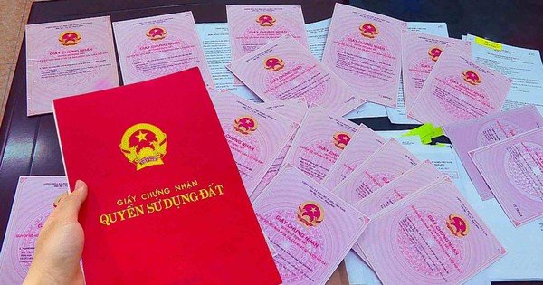 Avatar1768547125290 1768547125743777985303