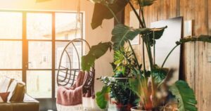 Avatar1768562615920 17685626161572017754416 0 0 314 600 Crop 1768565547294552388647