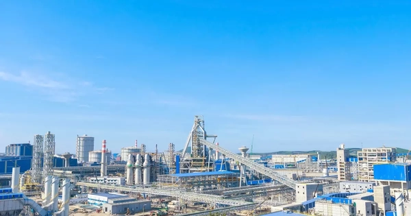 Avatar1768612373292 1768612373787421436751.Webp