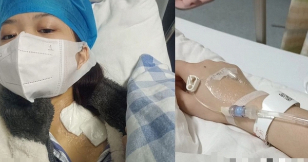 Avatar1768613556718 1768613557274860563641 0 35 419 705 Crop 17686138213051332483566