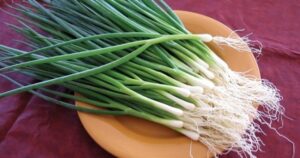 Avatar1768643973976 17686439743911297237321