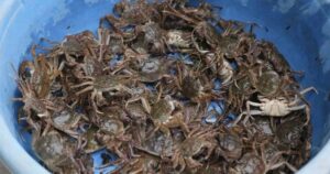 Avatar1768878556449 17688785569431269261510