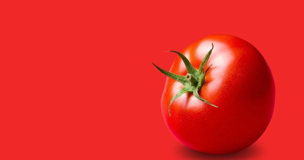 Avatar1768878575064 17688785757711880863474