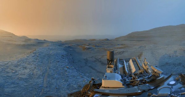 Avatar1768881726147 17688817266741924030516 0 0 629 1200 Crop 17688817429861582584430