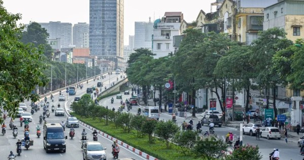 Avatar1768882711235 1768882711624675440244