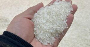 Avatar1768884967195 17688849675571319758053