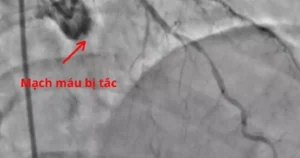 Avatar1768973520138 1768973520566160064481.Webp