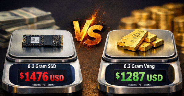 Avatar1768984432064 1768984432351972192722