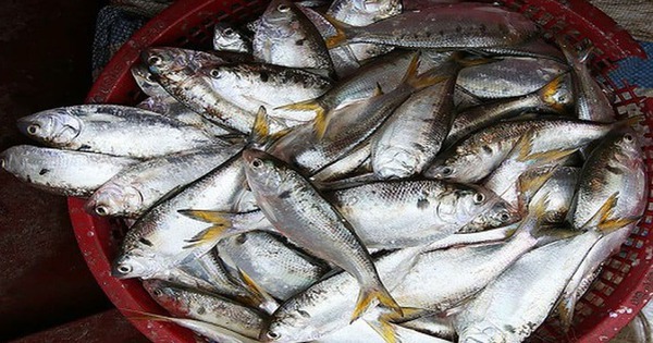 Avatar1769001489419 17690014901681518447519