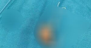 Avatar1769001845164 17690018458221381294479