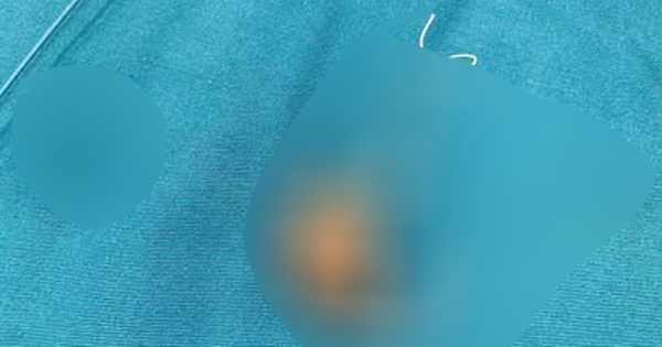 Avatar1769001845164 17690018458221381294479