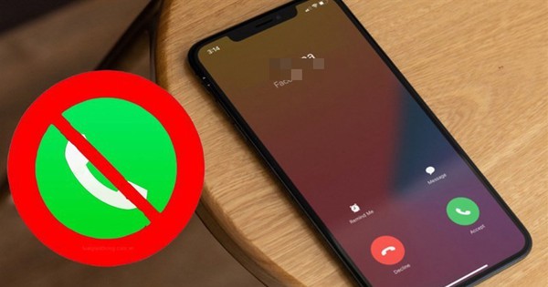 Avatar1769006732304 17690067325661489589933 0 0 419 800 Crop 1769006758260185390979