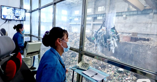 Avatar1769006802704 17690068029521340707140 0 0 628 1200 Crop 17690068252791670787258