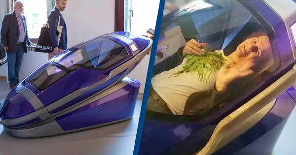 Avatar1769065763072 17690657634171335100435 0 0 629 1200 Crop 17690658145551210126405