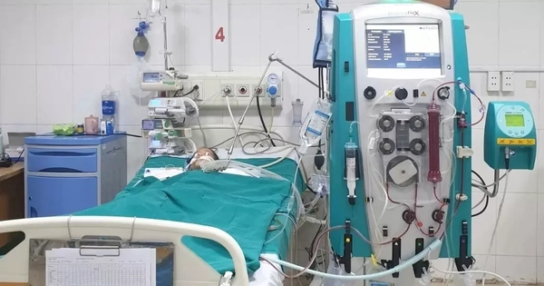 Avatar1769069691771 1769069692486324393374.Webp