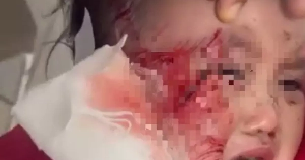 Avatar1769076714377 1769076715401755765797.Webp