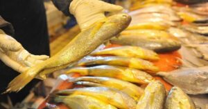 Avatar1769130329557 17691303301212116518822