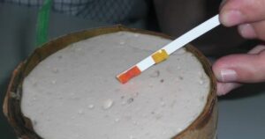 Avatar1769152605310 17691526058841823646859 0 0 262 500 Crop 17691527758722064729817