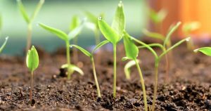 Avatar1769156151027 1769156151778727951440