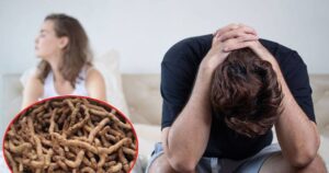 Avatar1769211569744 1769211570454717704661