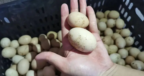 Avatar1769211650467 17692116507931072597177