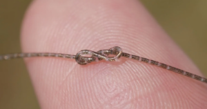 Avatar1769234871194 1769234872032949781309