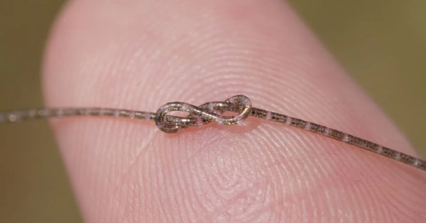 Avatar1769234871194 1769234872032949781309