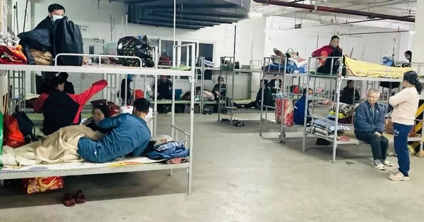 Avatar1769239060763 1769239061529658765953.Webp