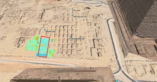 Avatar1769249226664 17692492270962036393148