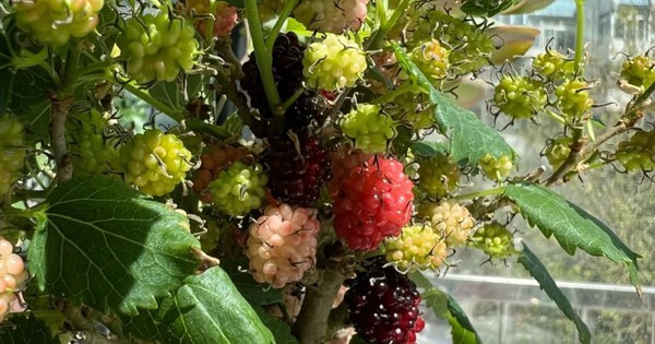 Avatar1769314304419 17693143130631601097774