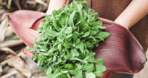 Avatar1769332770502 176933277082718332384